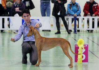Izzie Group 3rd. Photo: Cornelia Sofie Undheim.