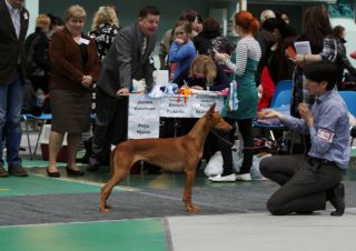 Izzie. Photo: Ann Moring