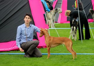 Izzie BOB & Group 3rd. Photo: Cornelia Sofie Undheim.