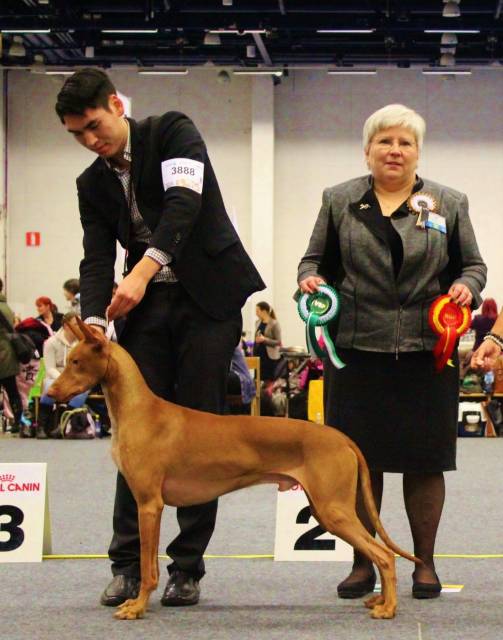 Storm Finnish Winner 2014