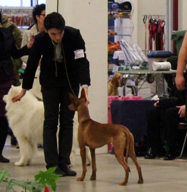 Sansa Group 3rd. Photo: Armelle Anderson