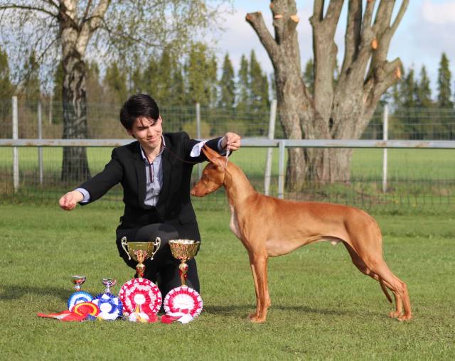 Storm with his prizes. Photo: Eva Olofsson