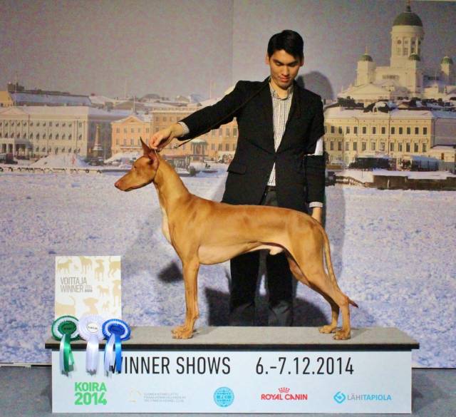 Storm Finnish Winner 2014