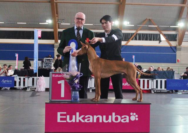 Bazinga A Storm of Swords winning Group 1st!